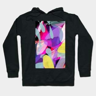 Collage Art Colorful Multicolor Graphic Design Hoodie